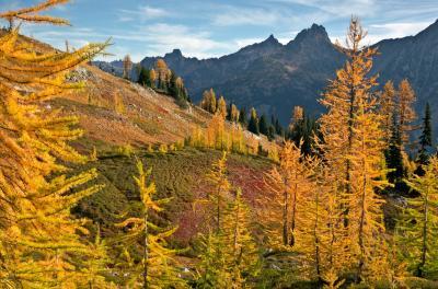 images of North Cascades - Maple Pass Loop