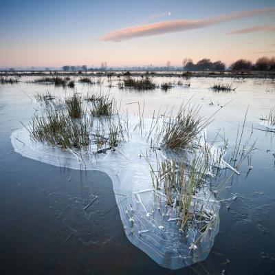 photo locations in Somerset - Icy Somerset Levels