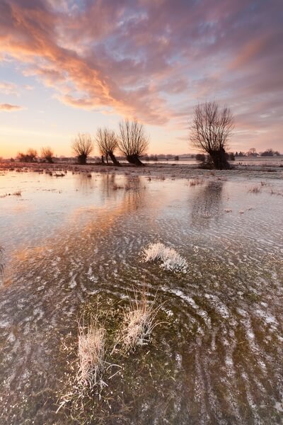 Flooded Winter Somerset Levels