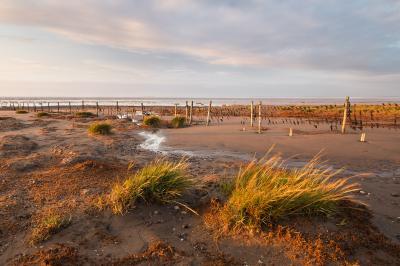 Somerset photo locations - Steart Mud Flats