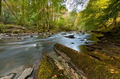 photography spots in Somerset - Tarr Steps