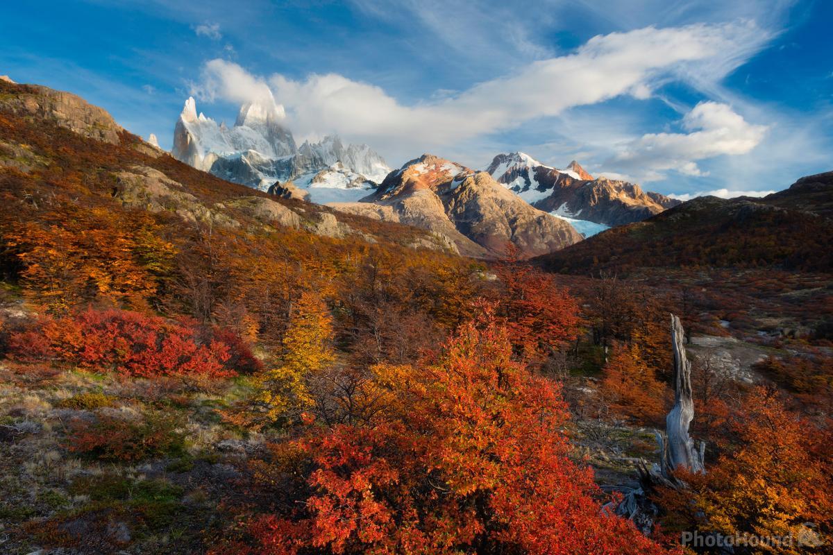 Image of EC - Autumn Scenery by Hougaard Malan