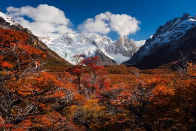 images of Patagonia - EC - Cerro Torre Reflection