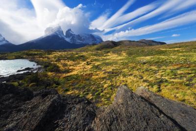 images of Patagonia - Torres Del Paine, Burnt Forests