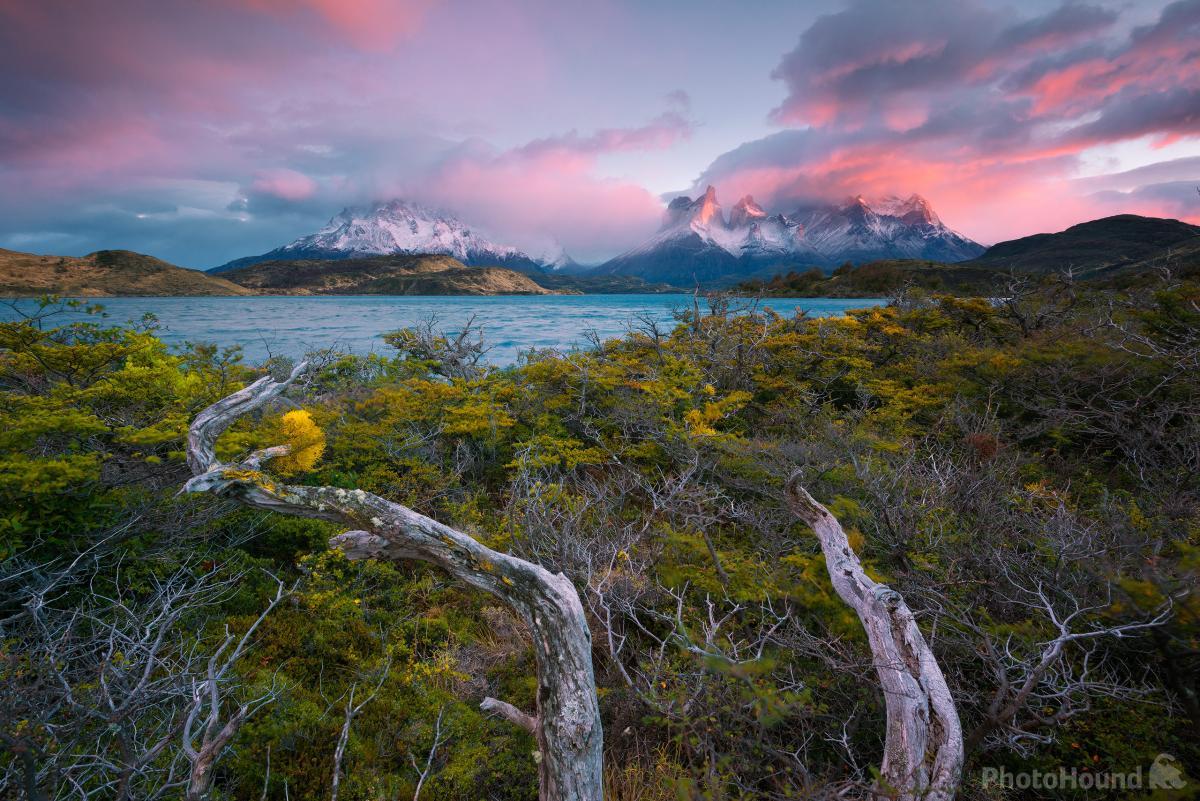 Image of Torres Del Paine, Lago Pehoe Southern Peninsula by Hougaard Malan