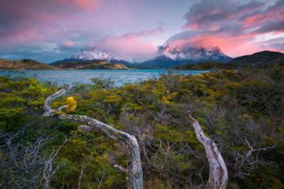 images of Patagonia - Torres Del Paine, Lago Pehoe Southern Peninsula
