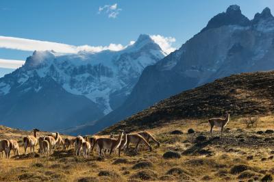 photos of Patagonia - TdP - Roadside Scenery