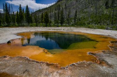 pictures of Yellowstone National Park - Emerald Pool – Black Sand Basin