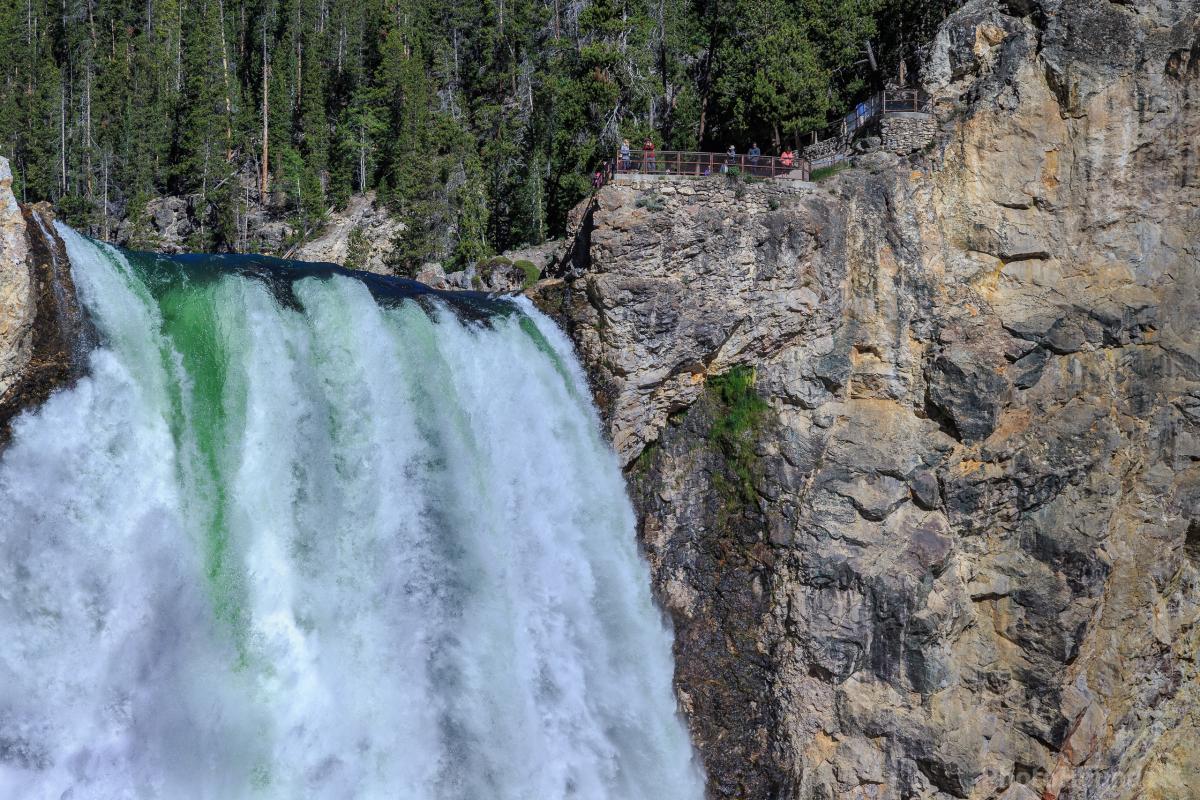 Image of Lower Yellowstone Falls (LYF) - General  by Lewis Kemper