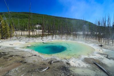 images of Yellowstone National Park - NGB - Cistern Spring