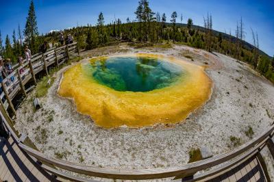 images of Yellowstone National Park - UGB - Morning Glory Pool
