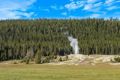 images of Yellowstone National Park - UGB - Lion Geyser Group