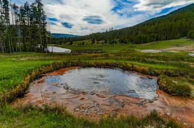 pictures of Yellowstone National Park - Terrace Spring