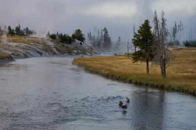 pictures of Yellowstone National Park - UGB - Firehole River from Hwy 89