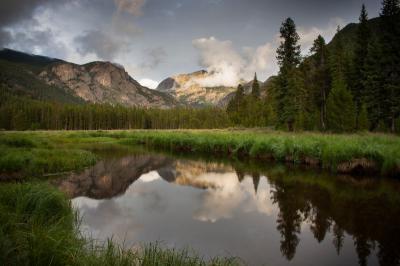 East Meadow - august, reflection