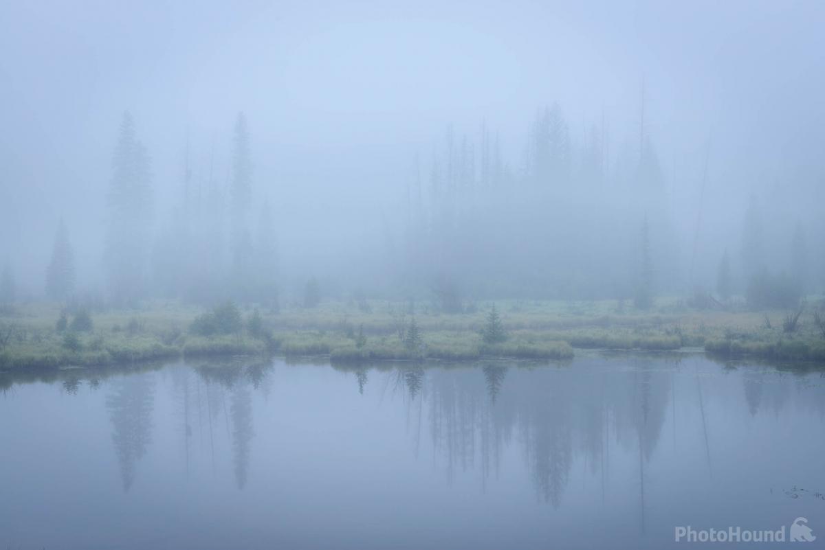 Image of WR - Beaver Ponds by Erik Stensland
