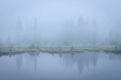 Beaver Ponds foggy morning