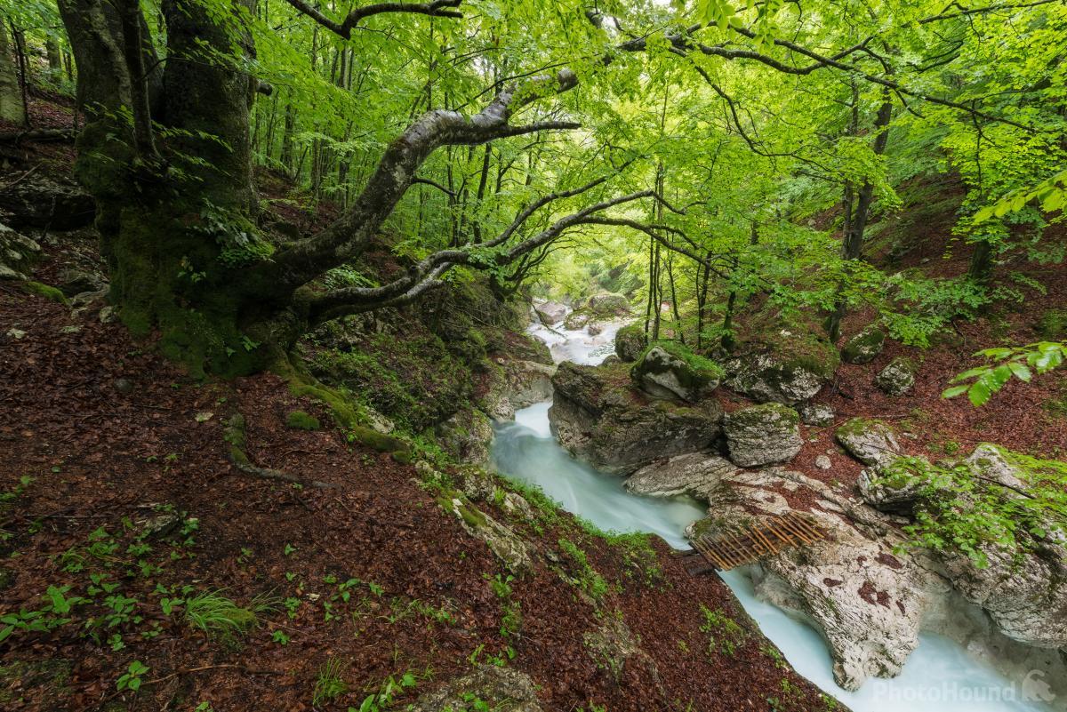 Image of Možnica River  by Luka Esenko