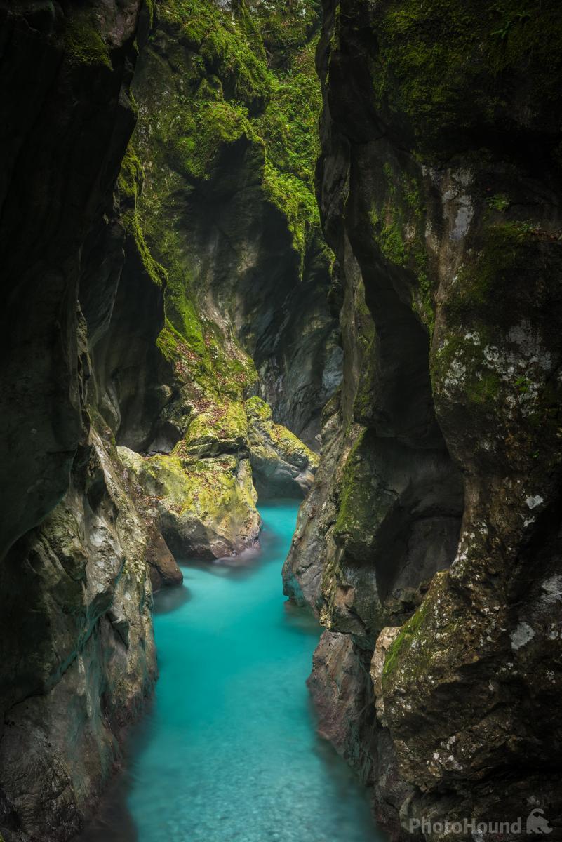 Image of Tolminka Gorge by Luka Esenko
