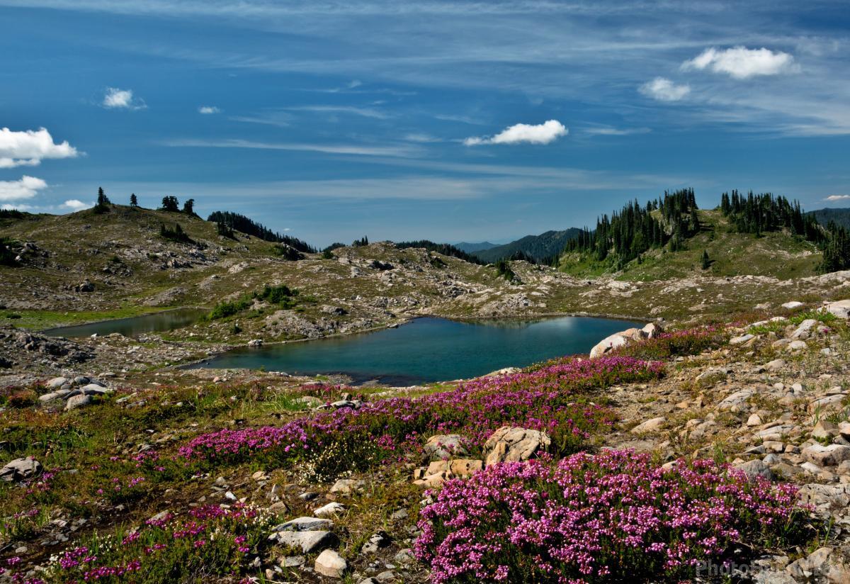 Image of Seven Lakes Basin by T. Kirkendall and V. Spring
