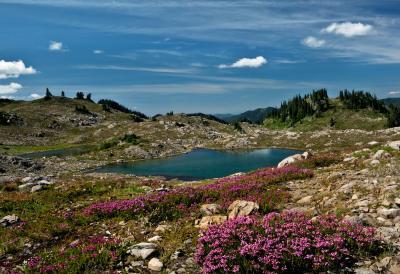 pictures of Olympic National Park - Seven Lakes Basin