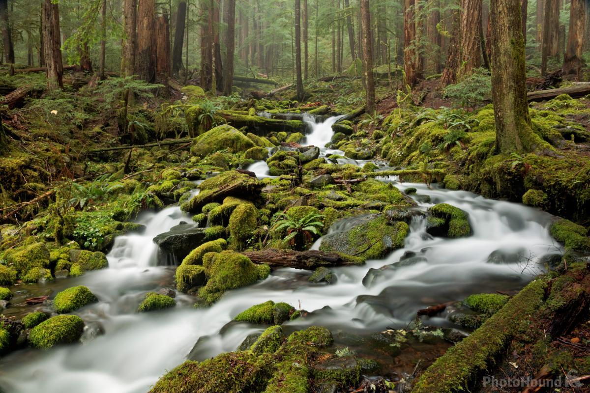 Image of Sol Duc Falls by T. Kirkendall and V. Spring