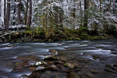 North Fork Sol Duc River