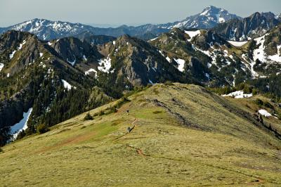 Open Meadows on Summit Ridge