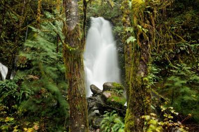 Quinault photo locations - Merriman Falls