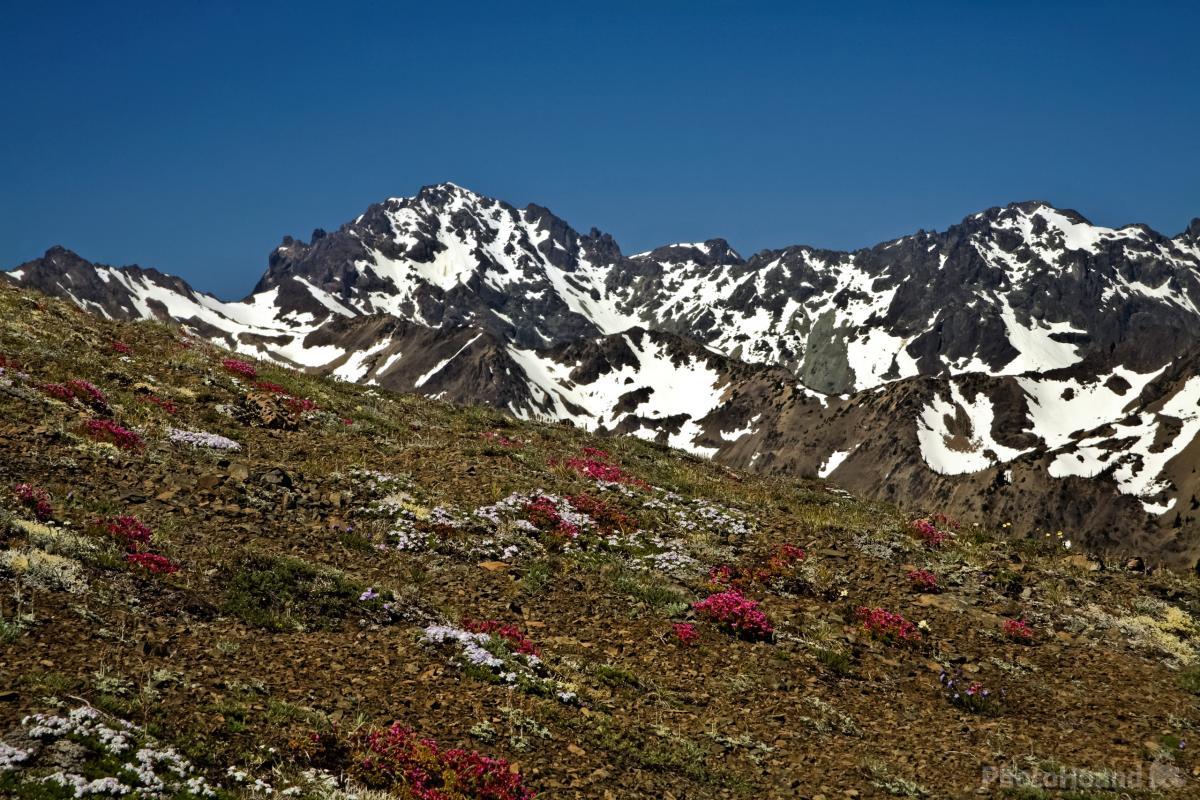 Image of Marmot Pass by T. Kirkendall and V. Spring