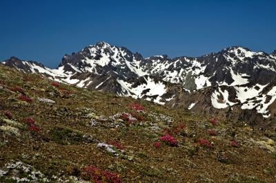 pictures of the United States - Marmot Pass