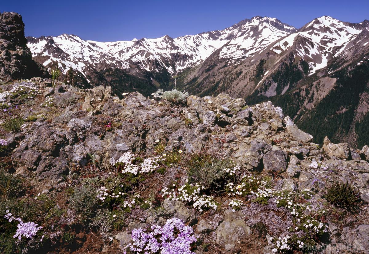 Image of Marmot Pass by T. Kirkendall and V. Spring