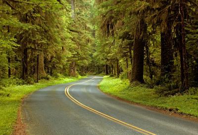 photos of Olympic National Park - Hoh River Road