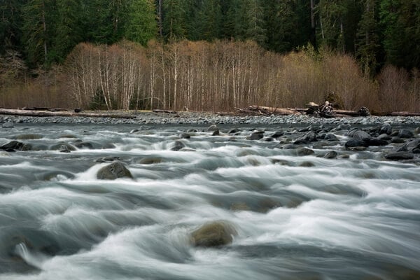 The Hoh River