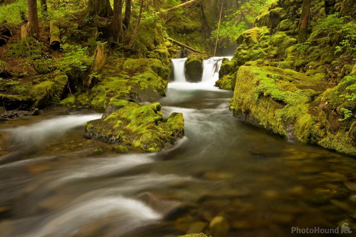 Image of Boulder River Trail by T. Kirkendall and V. Spring