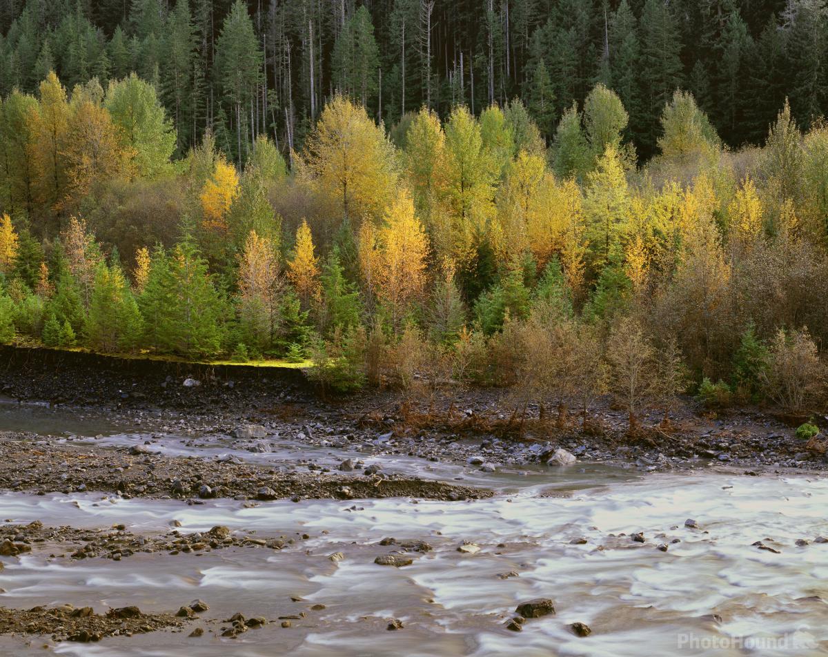 Image of Elwha River Trail by T. Kirkendall and V. Spring