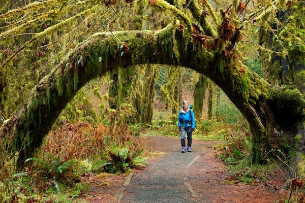 Hiker in Hall of Mosses