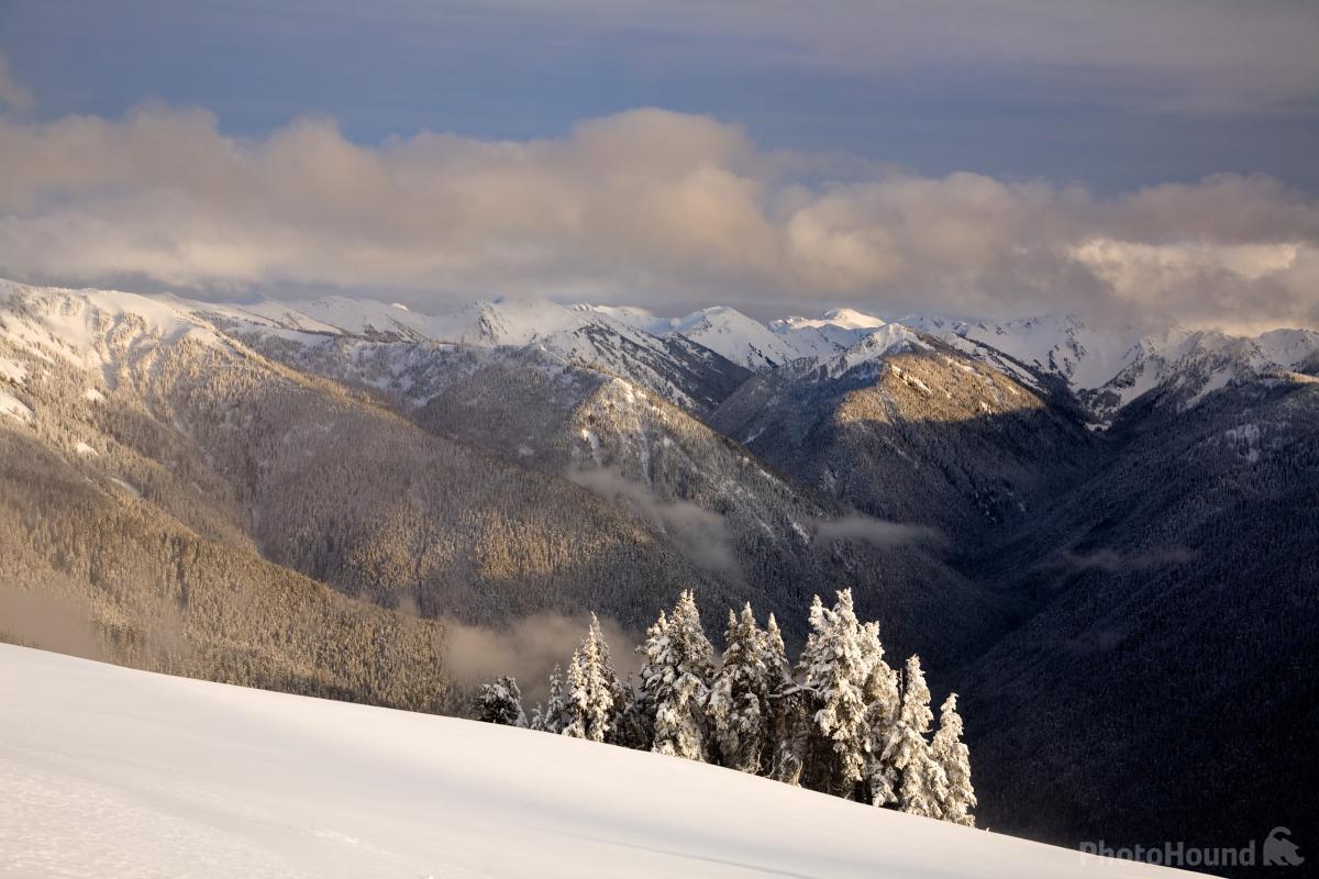 Image of Hurricane Ridge by T. Kirkendall and V. Spring