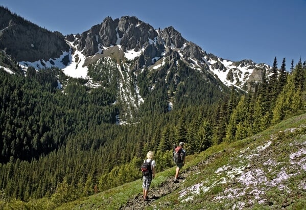 Hikers on Big Quilcene River Trail