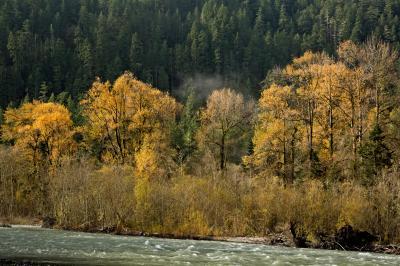 Autumn and the Elwha River