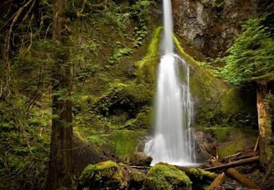 photos of Olympic National Park - Marymere Falls and Lake Crescent