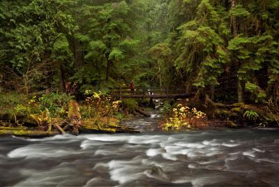 images of Olympic National Park - Marymere Falls and Lake Crescent