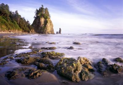 images of Olympic National Park - Mosquito Creek
