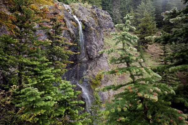 Waterfall From Trail