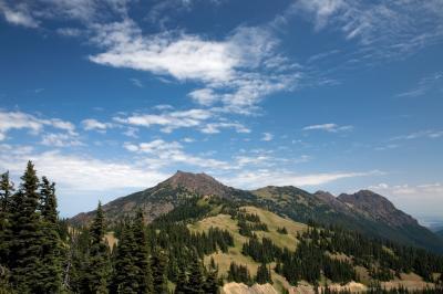 pictures of Olympic National Park - Mount Angeles