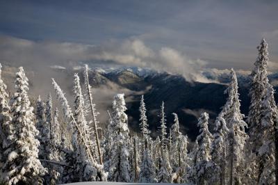 images of Olympic National Park - Obstruction Point
