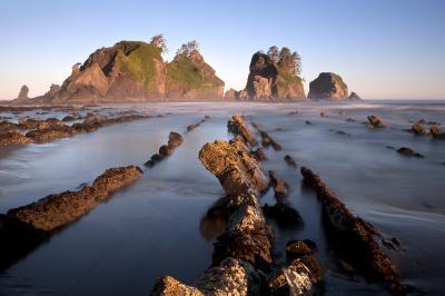 pictures of Olympic National Park - Point of the Arches 