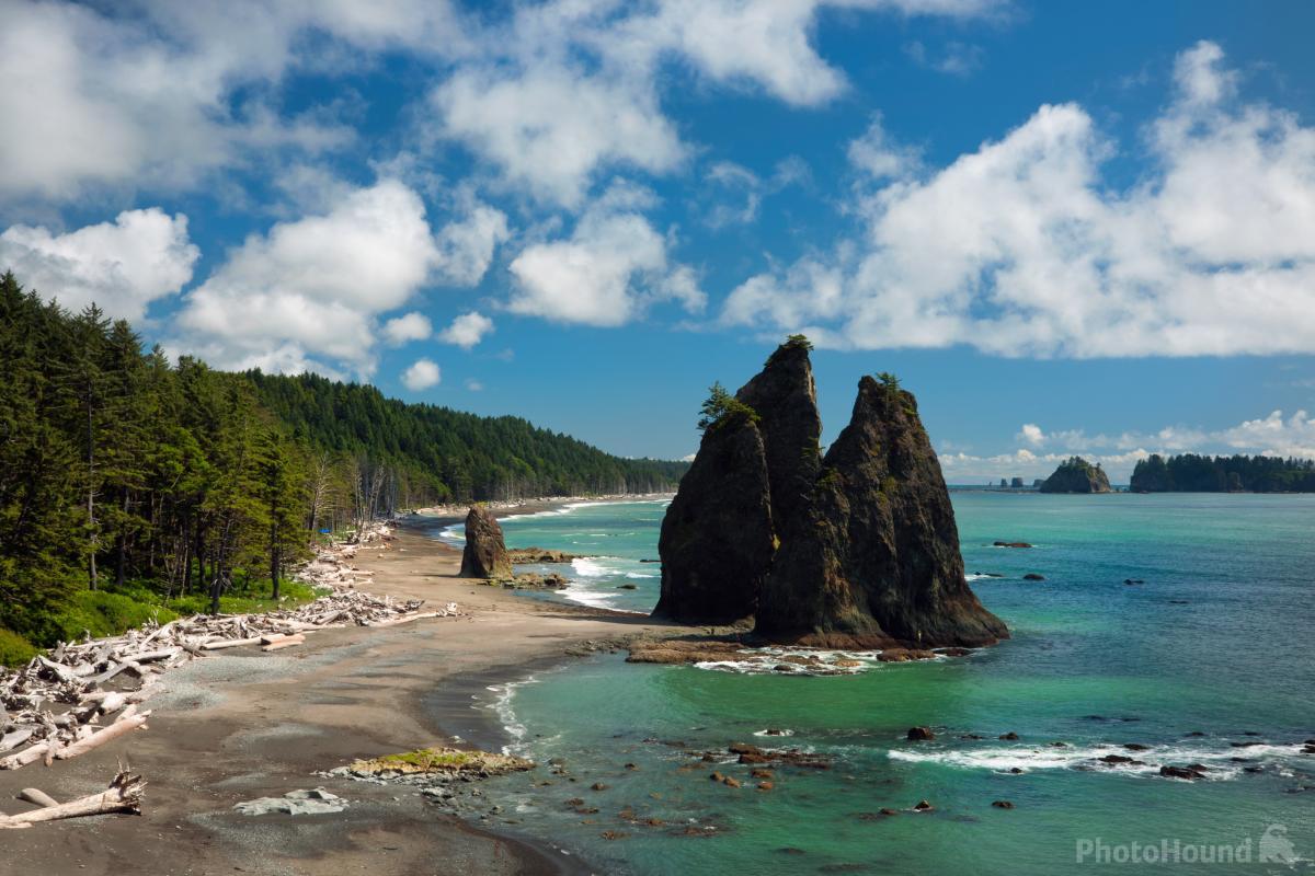 Image of Rialto Beach by T. Kirkendall and V. Spring