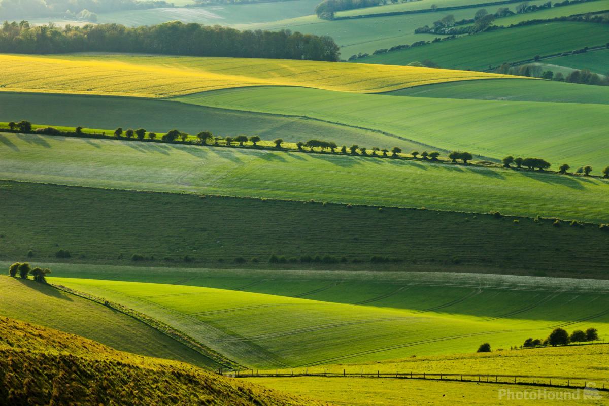 Image of Cold Combes (South Downs NP) by Slawek Staszczuk