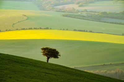 Lewes photography locations - Kingston Ridge (South Downs NP)